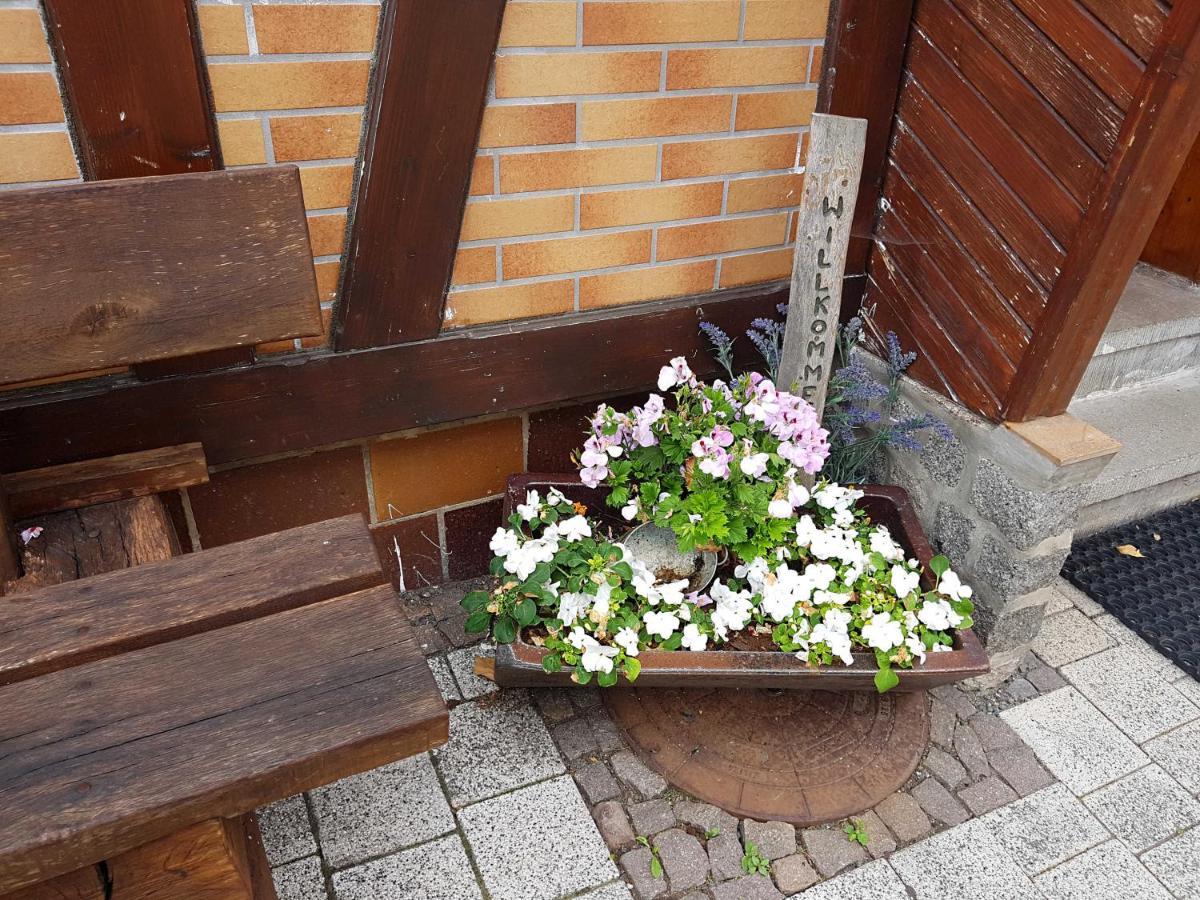 Ferienwohnung Am Kurpark Hasselfelde Kültér fotó